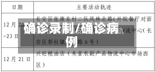 确诊录制/确诊病例