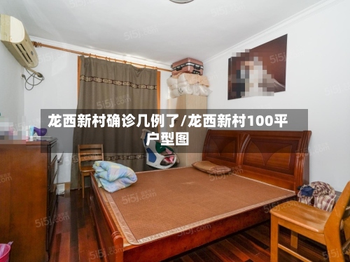 龙西新村确诊几例了/龙西新村100平户型图-第3张图片