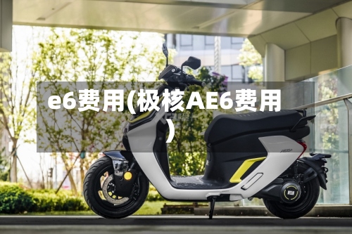 e6费用(极核AE6费用)-第2张图片