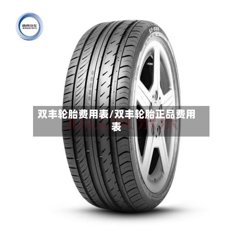 双丰轮胎费用表/双丰轮胎正品费用表-第3张图片