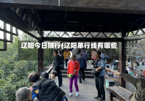 辽阳今日限行(辽阳单行线有哪些)-第2张图片