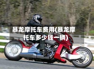 暴龙摩托车费用(暴龙摩托车多少钱一辆)-第3张图片