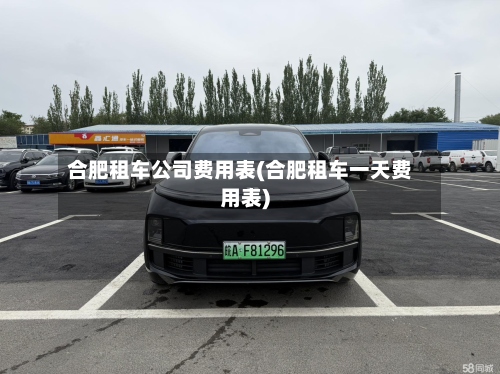 合肥租车公司费用表(合肥租车一天费用表)-第3张图片