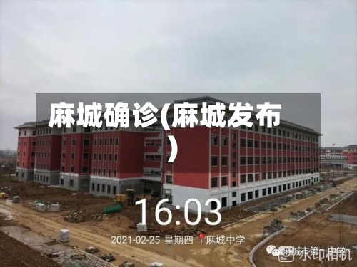 麻城确诊(麻城发布)-第3张图片