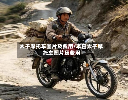 太子摩托车图片及费用/本田太子摩托车图片及费用-第2张图片
