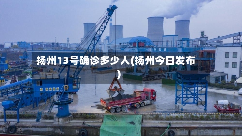扬州13号确诊多少人(扬州今日发布)-第3张图片