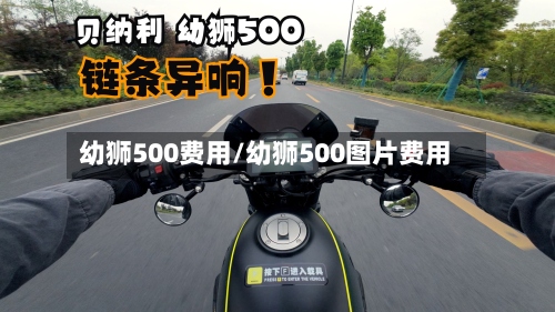 幼狮500费用/幼狮500图片费用