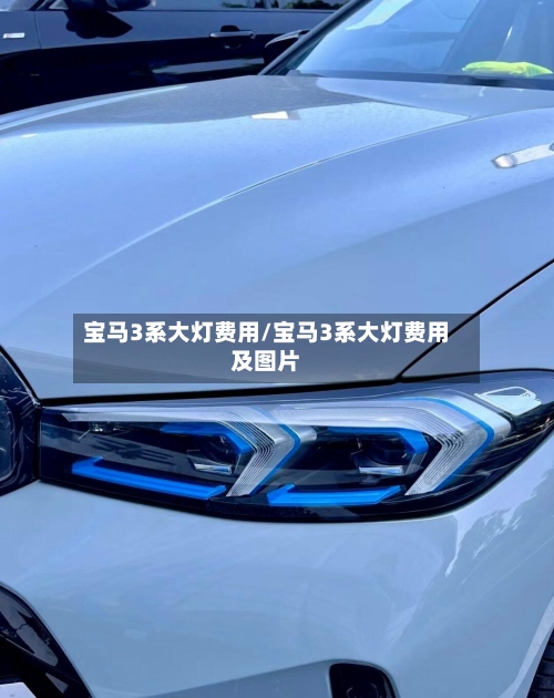 宝马3系大灯费用/宝马3系大灯费用及图片