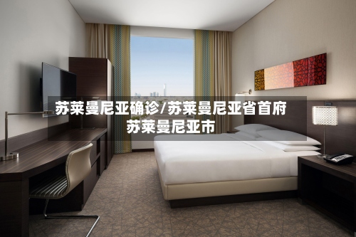 苏莱曼尼亚确诊/苏莱曼尼亚省首府苏莱曼尼亚市-第3张图片