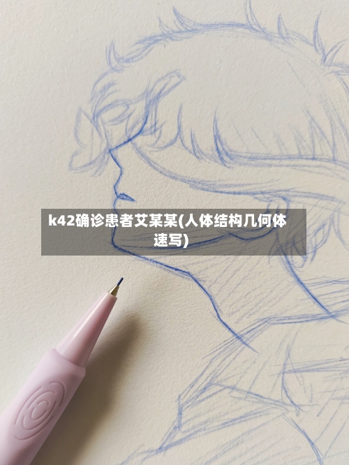 k42确诊患者艾某某(人体结构几何体速写)