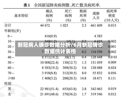 新冠病人确诊数据分析/6月新冠确诊数据统计表格-第2张图片