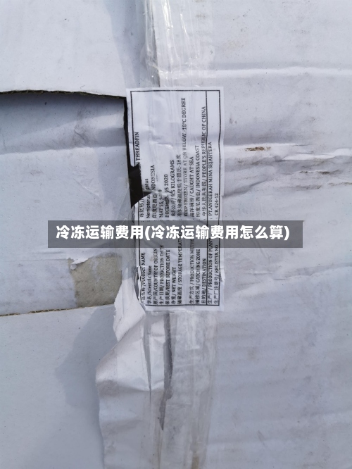 冷冻运输费用(冷冻运输费用怎么算)-第3张图片