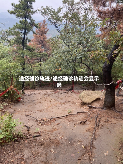 途经确诊轨迹/途经确诊轨迹会显示吗