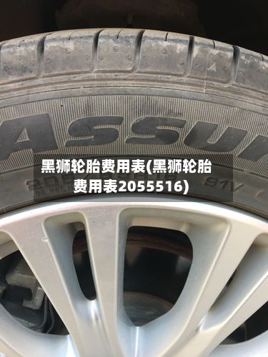 黑狮轮胎费用表(黑狮轮胎费用表2055516)