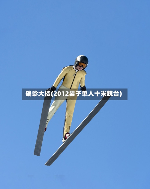 确诊大楼(2012男子单人十米跳台)-第2张图片