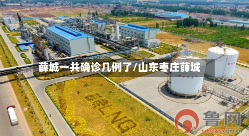 薛城一共确诊几例了/山东枣庄薛城-第2张图片