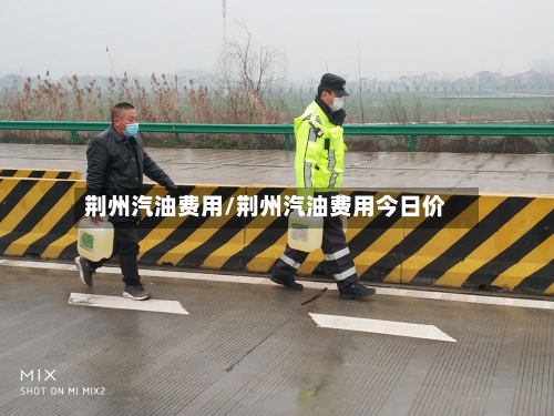 荆州汽油费用/荆州汽油费用今日价-第2张图片
