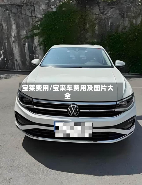 宝莱费用/宝来车费用及图片大全