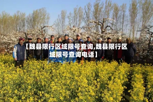 【魏县限行区域限号查询,魏县限行区域限号查询电话】