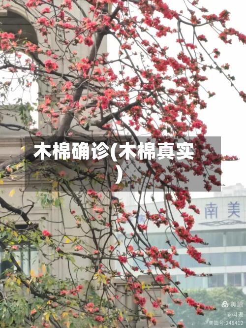 木棉确诊(木棉真实)-第3张图片