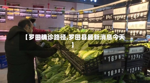 【罗田确诊路径,罗田县最新消息今天】