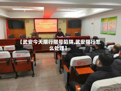 【武安今天限行限号陷阱,武安限行怎么处理】-第2张图片