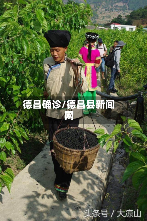 德昌确诊/德昌县新闻网