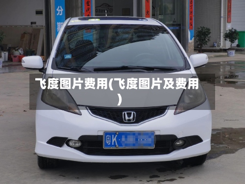 飞度图片费用(飞度图片及费用)