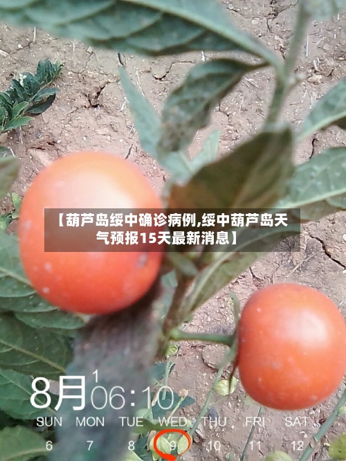 【葫芦岛绥中确诊病例,绥中葫芦岛天气预报15天最新消息】-第2张图片