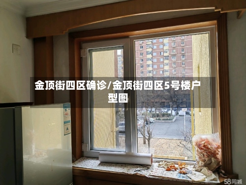 金顶街四区确诊/金顶街四区5号楼户型图