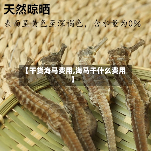 【干货海马费用,海马干什么费用】-第2张图片