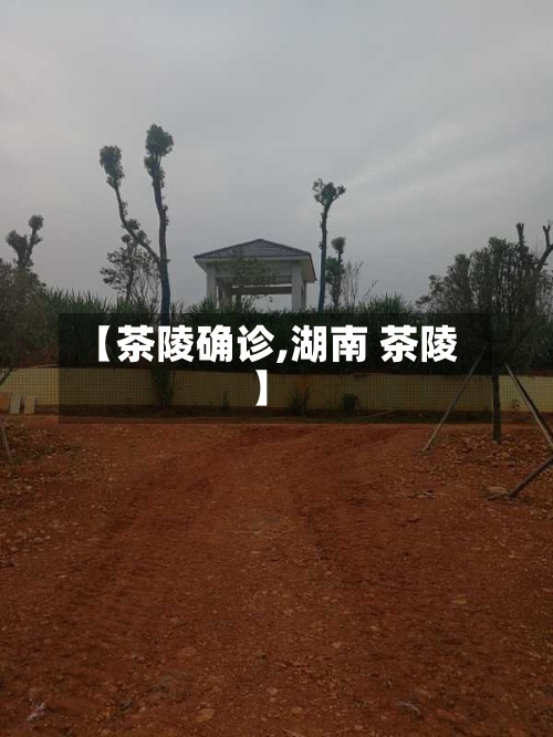 【茶陵确诊,湖南 茶陵】