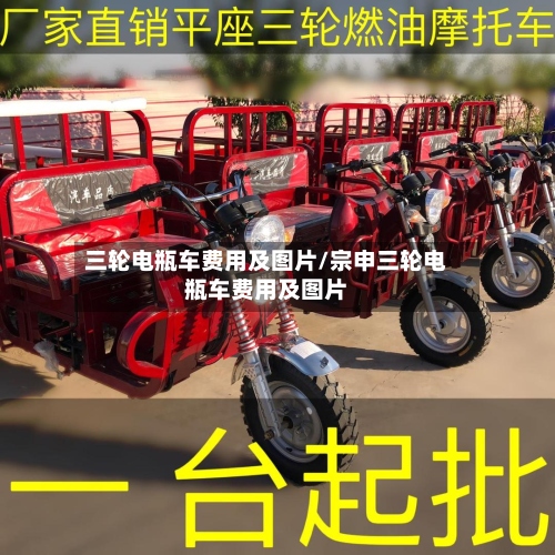三轮电瓶车费用及图片/宗申三轮电瓶车费用及图片
