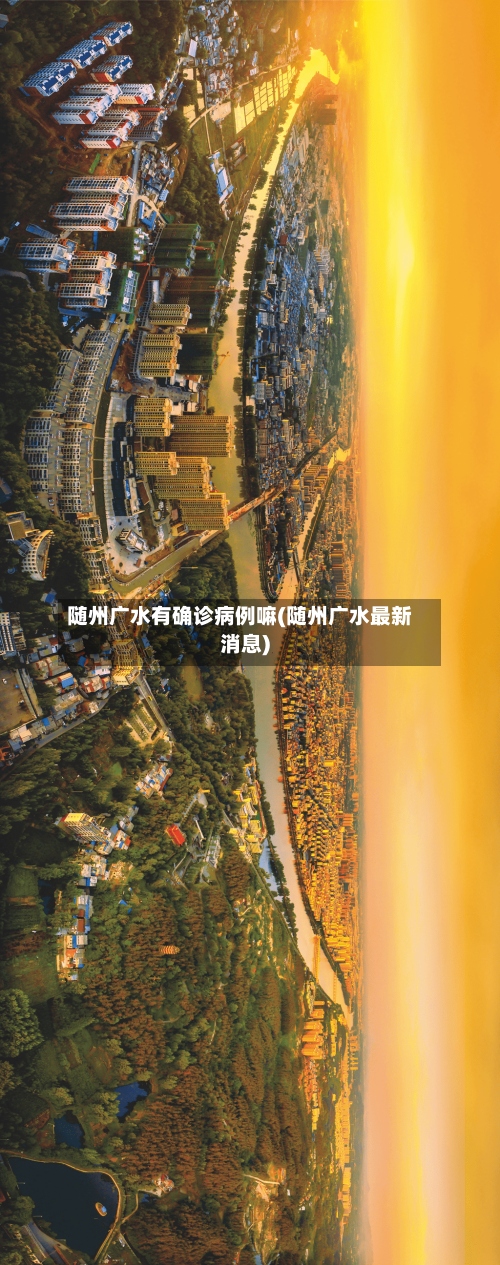 随州广水有确诊病例嘛(随州广水最新消息)