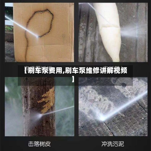 【刷车泵费用,刷车泵维修讲解视频】