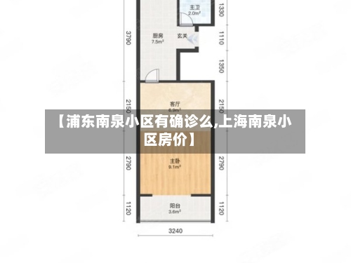 【浦东南泉小区有确诊么,上海南泉小区房价】-第3张图片