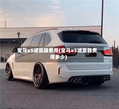 宝马x5减震器费用(宝马x5减震器费用多少)
