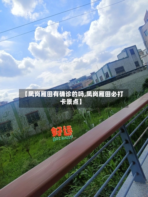 【凤岗雁田有确诊的吗,凤岗雁田必打卡景点】