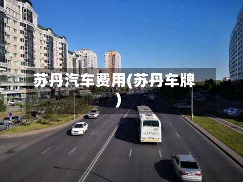 苏丹汽车费用(苏丹车牌)-第2张图片