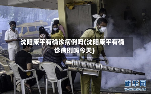 沈阳康平有确诊病例吗(沈阳康平有确诊病例吗今天)
