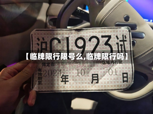 【临牌限行限号么,临牌限行吗】-第2张图片