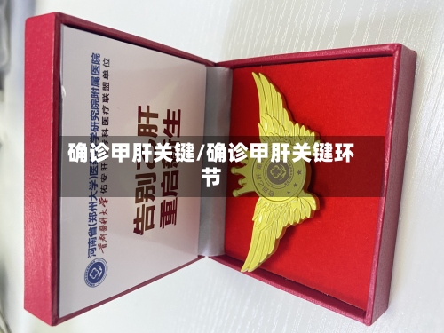 确诊甲肝关键/确诊甲肝关键环节-第2张图片