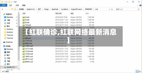 【红联确诊,红联网络最新消息】