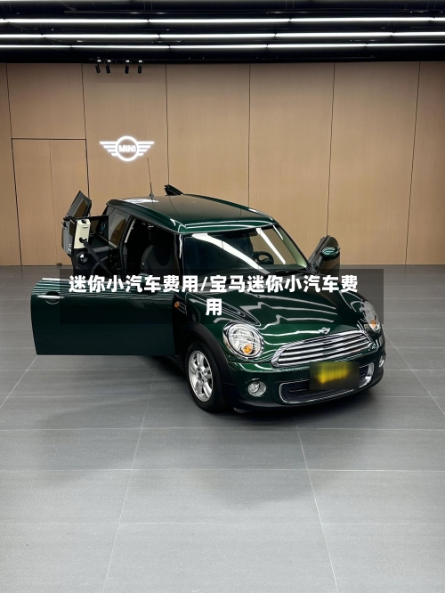 迷你小汽车费用/宝马迷你小汽车费用