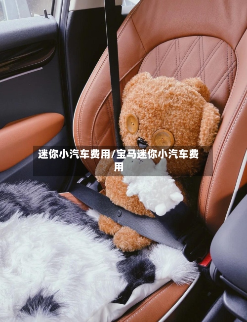 迷你小汽车费用/宝马迷你小汽车费用-第2张图片
