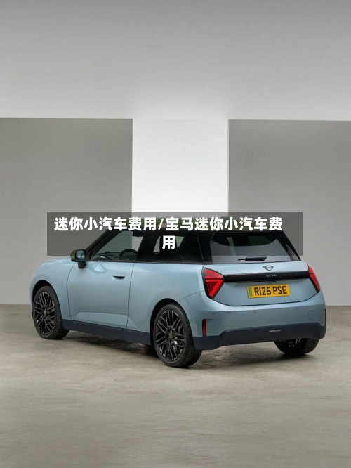 迷你小汽车费用/宝马迷你小汽车费用-第3张图片