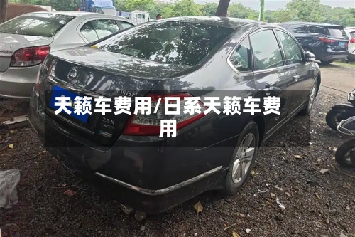 天籁车费用/日系天籁车费用-第3张图片