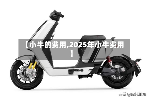 【小牛的费用,2025年小牛费用】-第2张图片