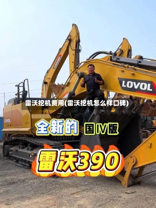 雷沃挖机费用(雷沃挖机怎么样口碑)-第3张图片