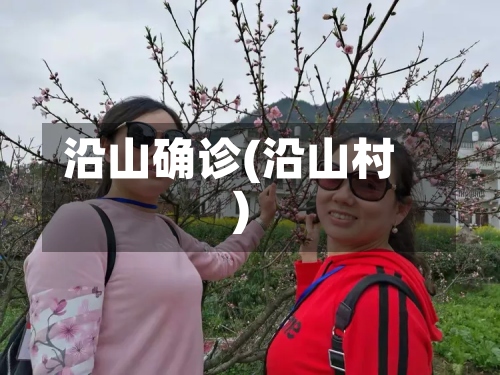 沿山确诊(沿山村)-第3张图片